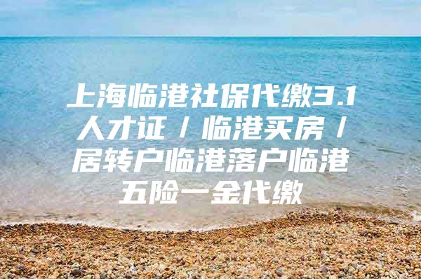 上海临港社保代缴3.1人才证／临港买房／居转户临港落户临港五险一金代缴