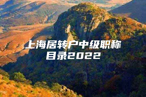 上海居转户中级职称目录2022