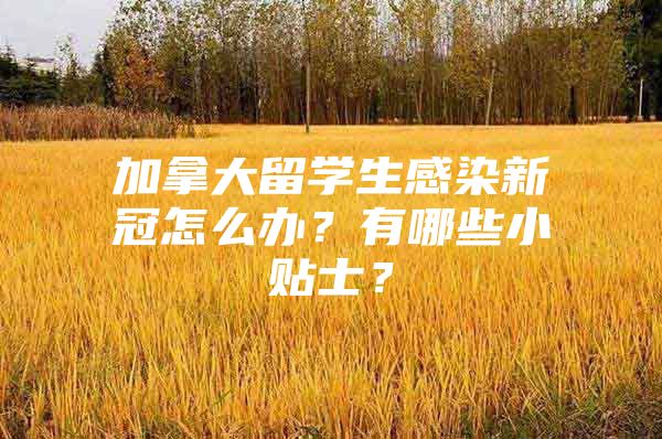 加拿大留学生感染新冠怎么办？有哪些小贴士？