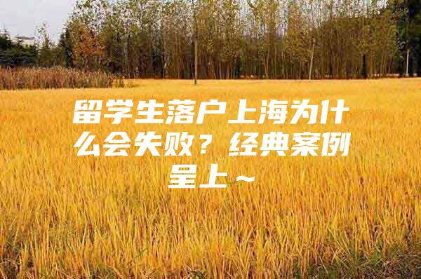 留学生落户上海为什么会失败？经典案例呈上～