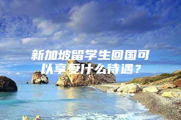 新加坡留学生回国可以享受什么待遇？