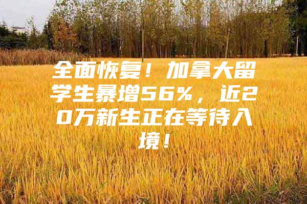 全面恢复！加拿大留学生暴增56%，近20万新生正在等待入境！