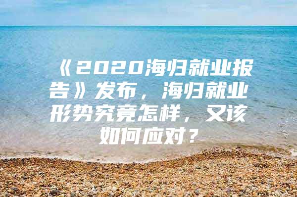 《2020海归就业报告》发布，海归就业形势究竟怎样，又该如何应对？