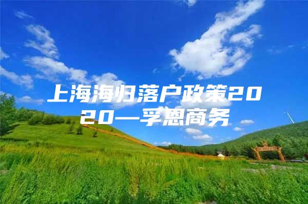 上海海归落户政策2020—孚恩商务