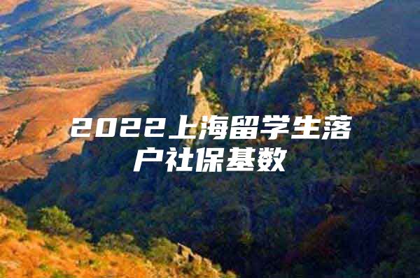 2022上海留学生落户社保基数