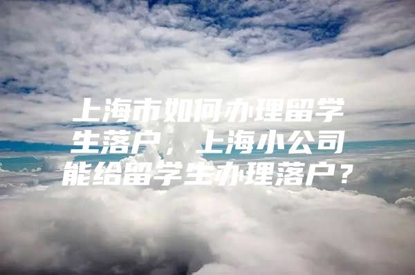 上海市如何办理留学生落户，上海小公司能给留学生办理落户？