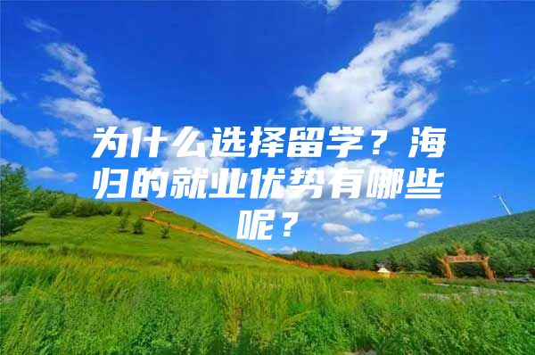 为什么选择留学？海归的就业优势有哪些呢？