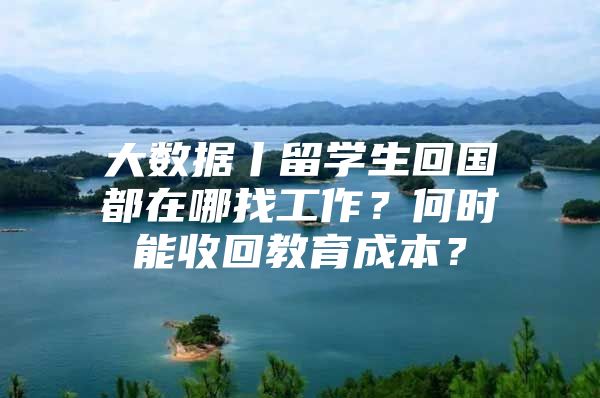 大数据丨留学生回国都在哪找工作？何时能收回教育成本？