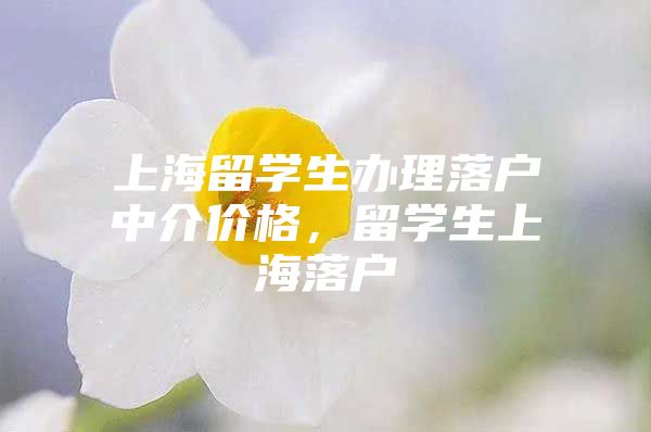 上海留学生办理落户中介价格，留学生上海落户