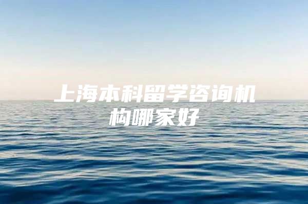 上海本科留学咨询机构哪家好