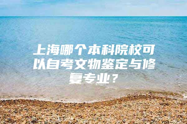 上海哪个本科院校可以自考文物鉴定与修复专业？