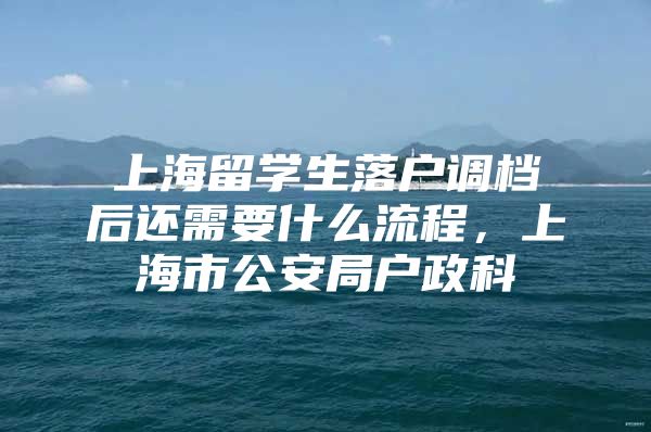 上海留学生落户调档后还需要什么流程，上海市公安局户政科