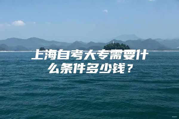 上海自考大专需要什么条件多少钱？