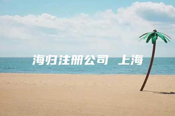 海归注册公司 上海