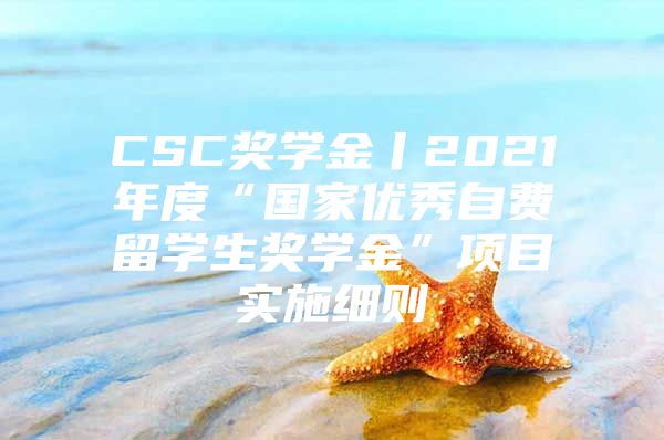 CSC奖学金丨2021年度“国家优秀自费留学生奖学金”项目实施细则