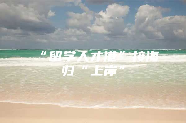 “留学人才港”接海归“上岸”