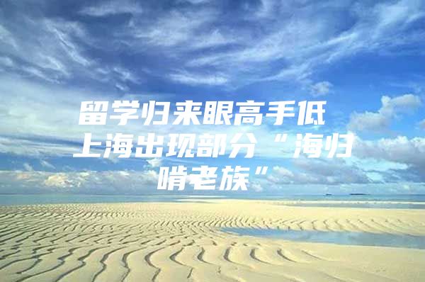 留学归来眼高手低 上海出现部分“海归啃老族”