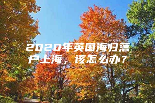 2020年英国海归落户上海，该怎么办？