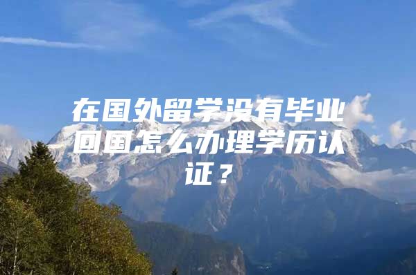 在国外留学没有毕业回国怎么办理学历认证？