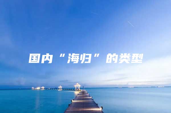 国内“海归”的类型