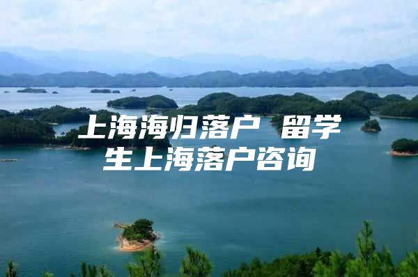 上海海归落户 留学生上海落户咨询