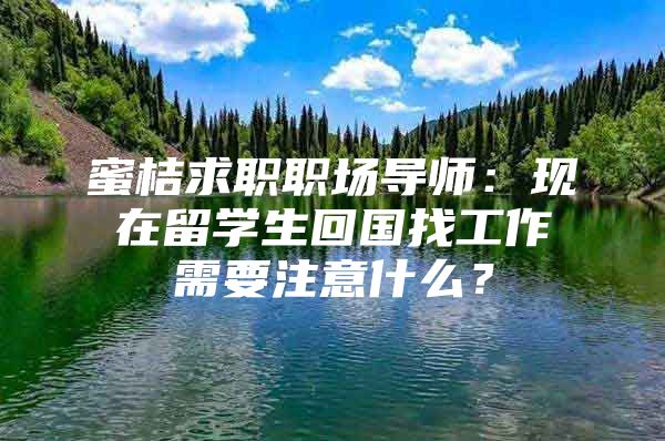 蜜桔求职职场导师：现在留学生回国找工作需要注意什么？