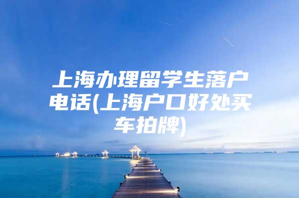 上海办理留学生落户电话(上海户口好处买车拍牌)