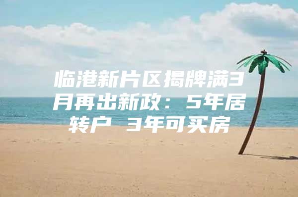 临港新片区揭牌满3月再出新政：5年居转户 3年可买房