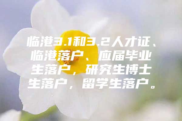 临港3.1和3.2人才证、临港落户、应届毕业生落户，研究生博士生落户，留学生落户。