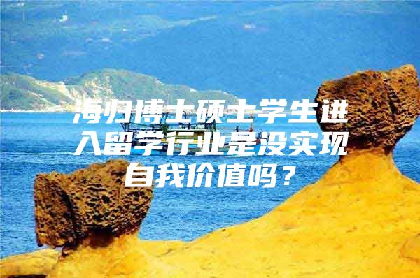 海归博士硕士学生进入留学行业是没实现自我价值吗？