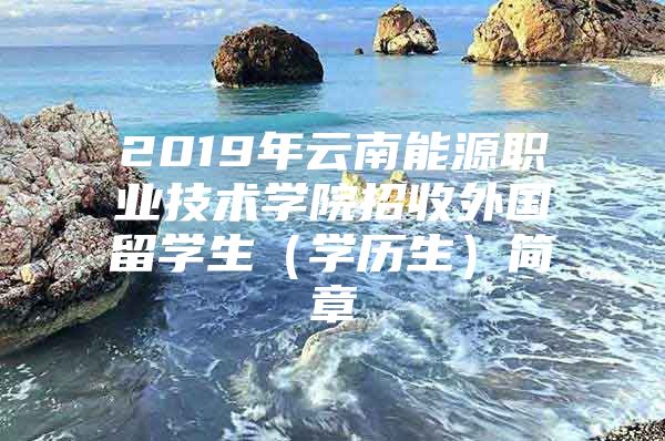 2019年云南能源职业技术学院招收外国留学生（学历生）简章