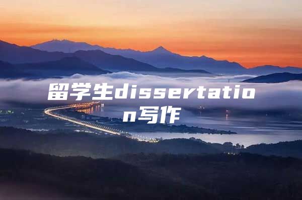 留学生dissertation写作