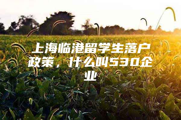 上海临港留学生落户政策，什么叫530企业