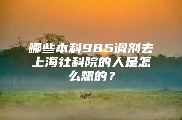 哪些本科985调剂去上海社科院的人是怎么想的？