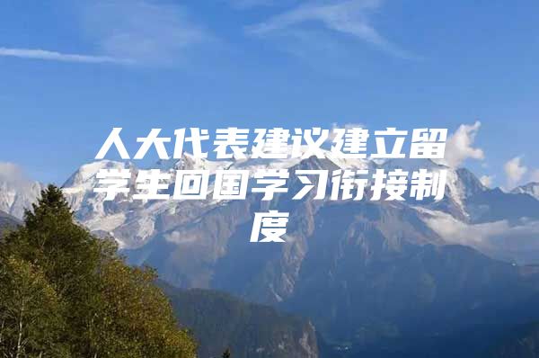 人大代表建议建立留学生回国学习衔接制度