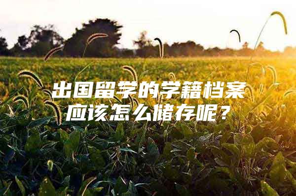 出国留学的学籍档案应该怎么储存呢？