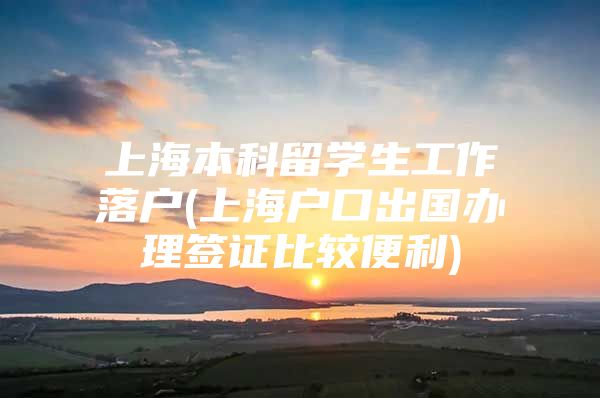 上海本科留学生工作落户(上海户口出国办理签证比较便利)