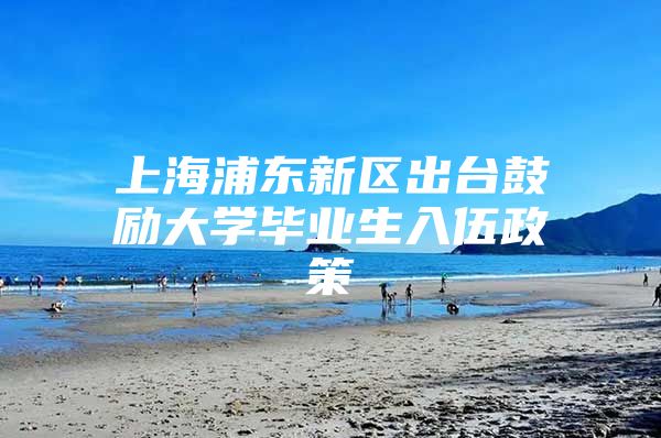 上海浦东新区出台鼓励大学毕业生入伍政策