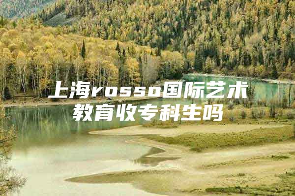 上海rosso国际艺术教育收专科生吗