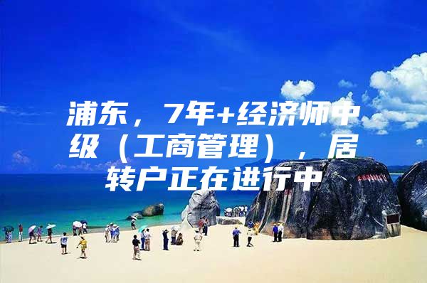 浦东，7年+经济师中级（工商管理），居转户正在进行中