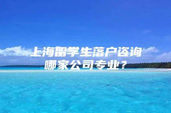 上海留学生落户咨询哪家公司专业？