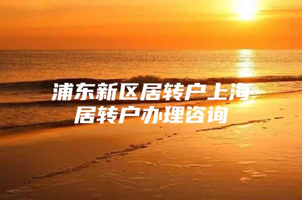 浦东新区居转户上海居转户办理咨询