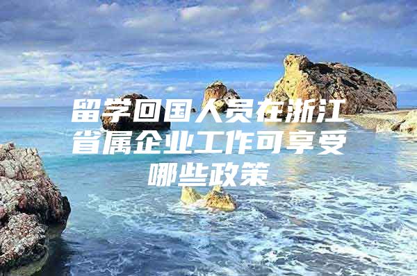 留学回国人员在浙江省属企业工作可享受哪些政策