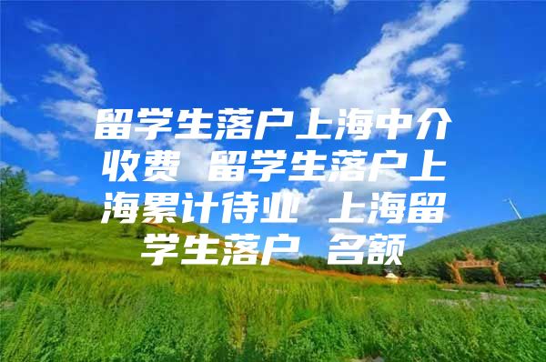 留学生落户上海中介收费 留学生落户上海累计待业 上海留学生落户 名额