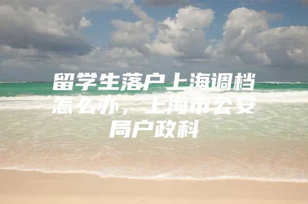 留学生落户上海调档怎么办，上海市公安局户政科