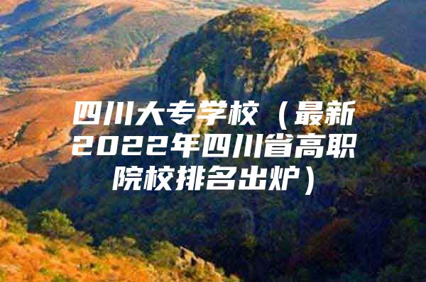 四川大专学校（最新2022年四川省高职院校排名出炉）