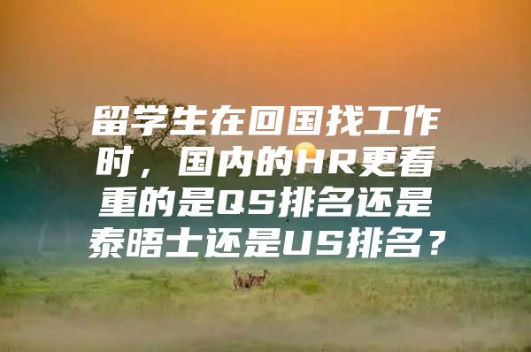 留学生在回国找工作时，国内的HR更看重的是QS排名还是泰晤士还是US排名？