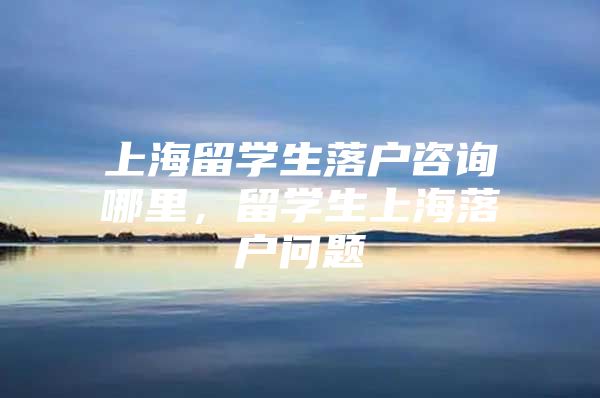 上海留学生落户咨询哪里，留学生上海落户问题