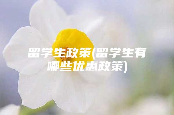 留学生政策(留学生有哪些优惠政策)