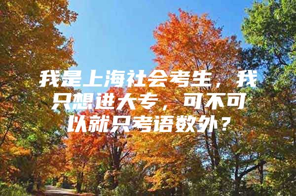 我是上海社会考生，我只想进大专，可不可以就只考语数外？